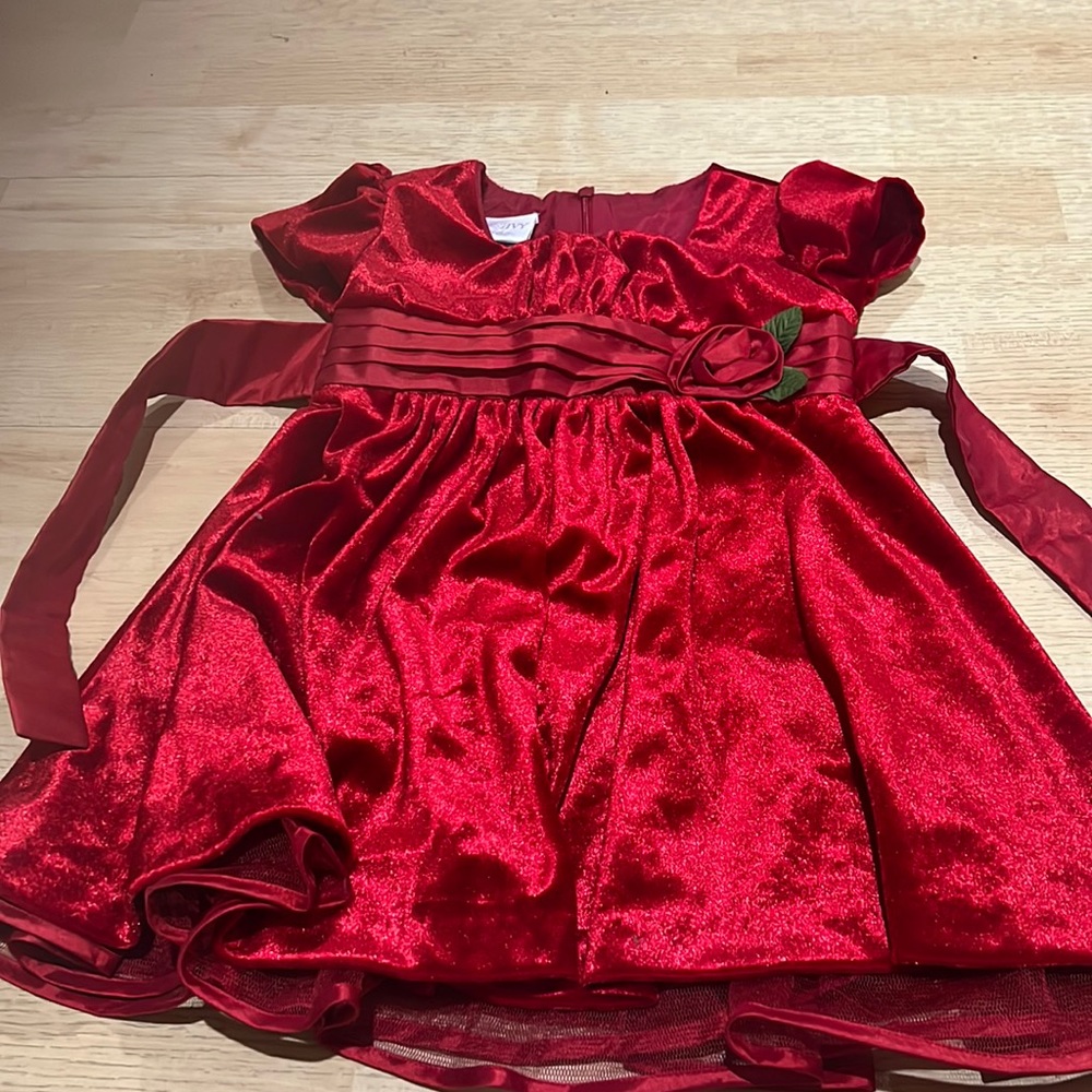 Kids Dress Size 2T Red Iris & Ivy